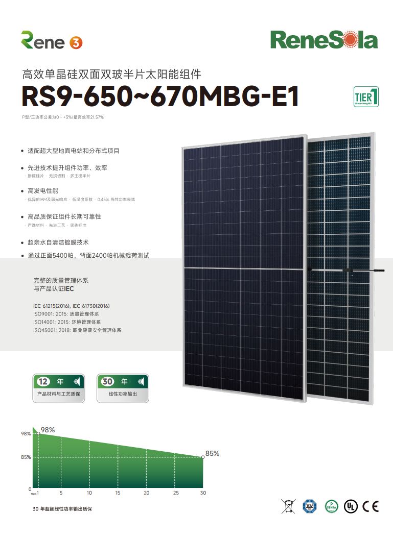 中文RS9-650~670MBG(210-132双面双玻组件)