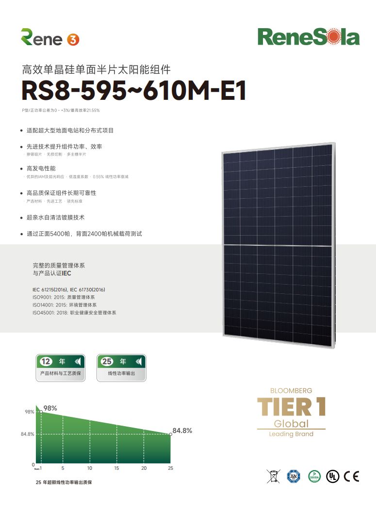 中文RS8-595~610M(210-120单玻组件)