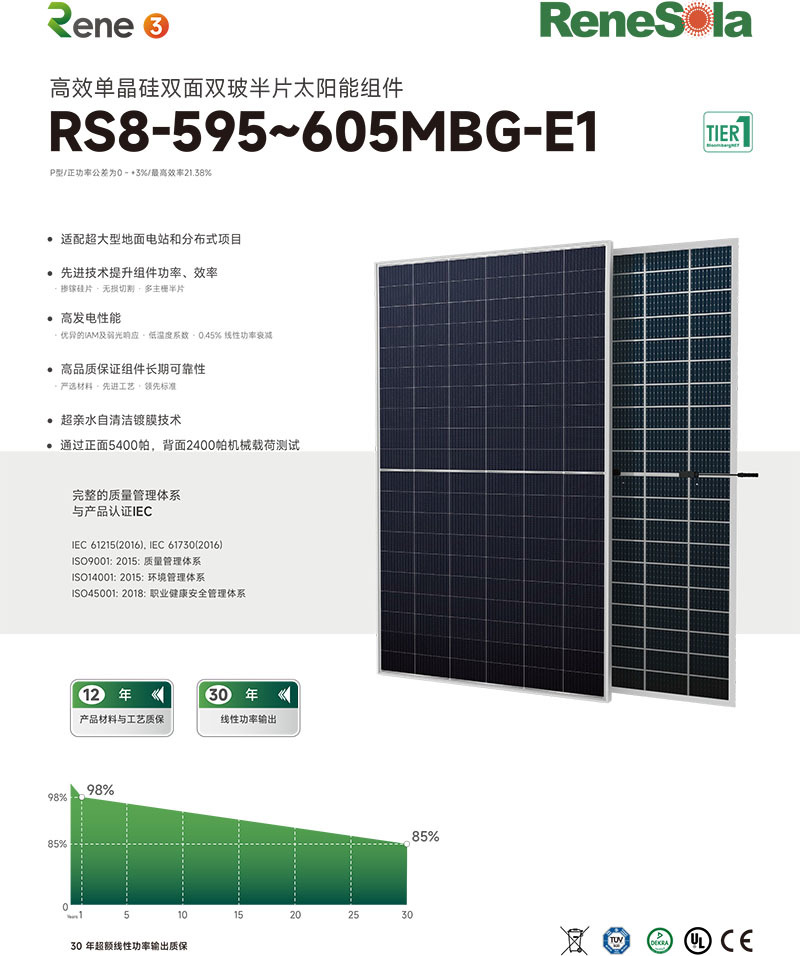 中文RS8-595~605MBG(210-120双玻组件)