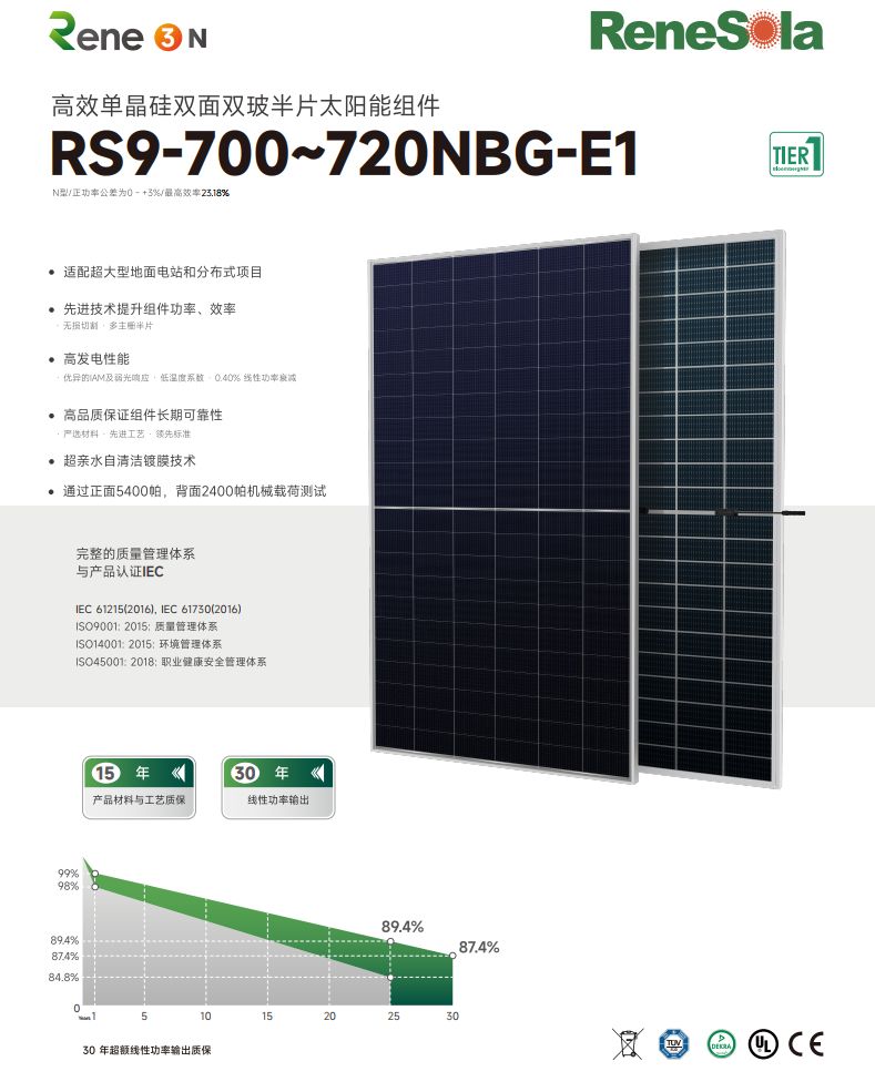 中文RS9-700~720NBG（ N型210-132双面双玻组件）