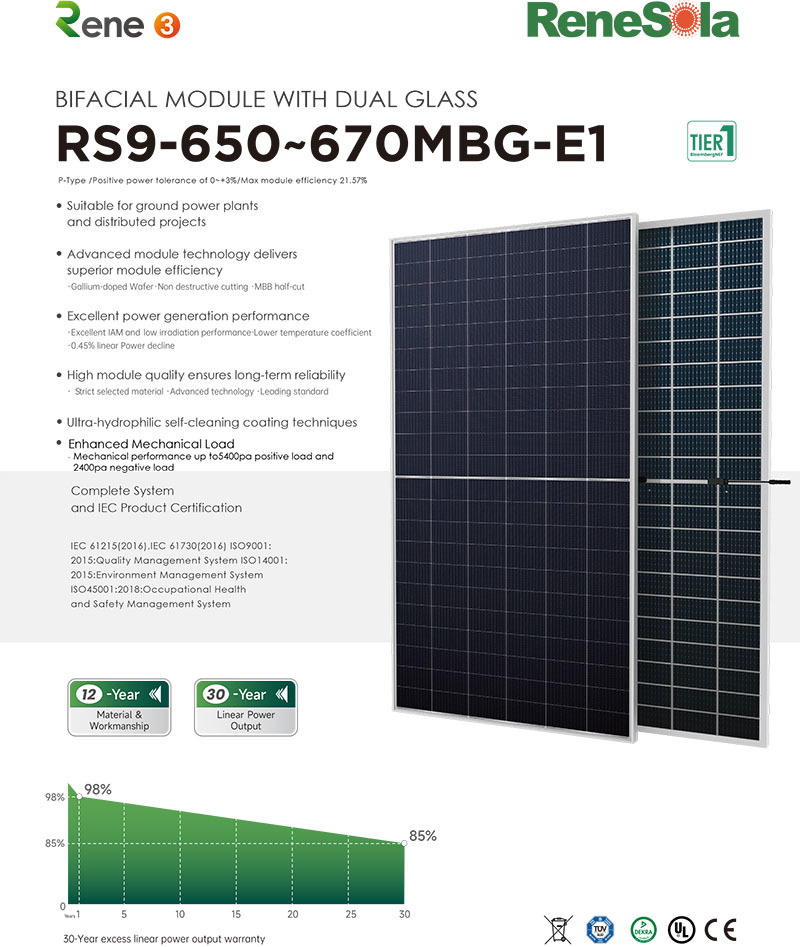 RS9-650~670MBG(210-132 bifacial module with dual glass)