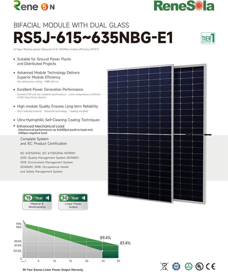 RS5J-615~635NBG N-type (182-210 bifacial module with dual glass)