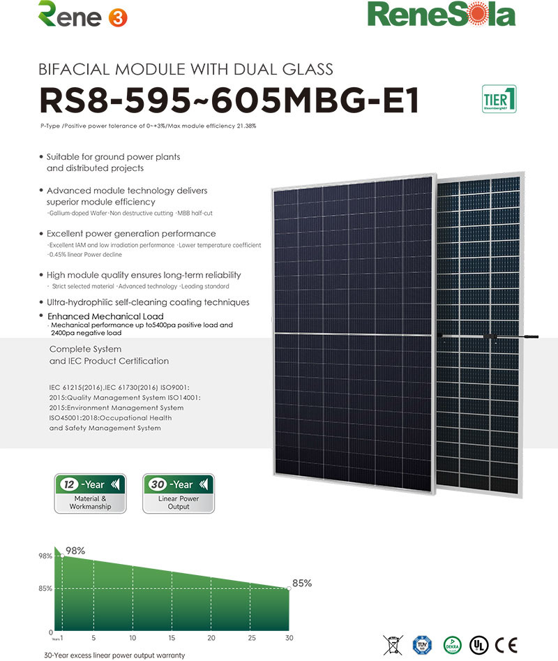 RS8-595~605MBG(210-120 bifacial module with dual glass)