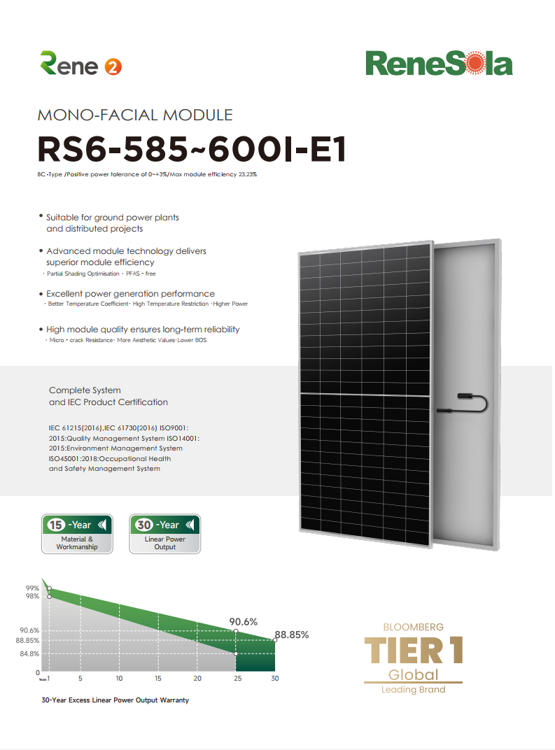 RS6-585-600I(BC mono-facial module)