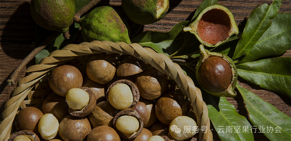 潜力快速增长的市场：印度