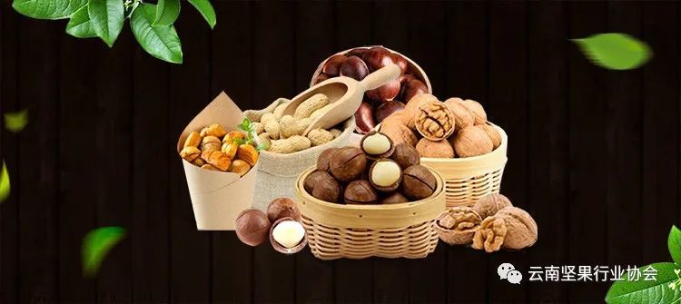 Industry information: Yunnan Nut Industry Association won the 2019 Excellent Industry Association