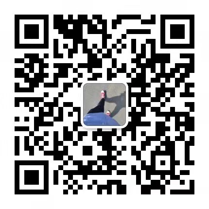 Contact wechat