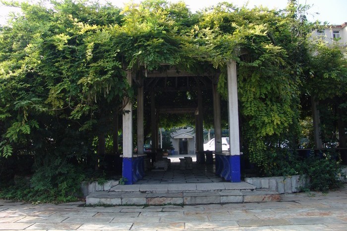 Environment