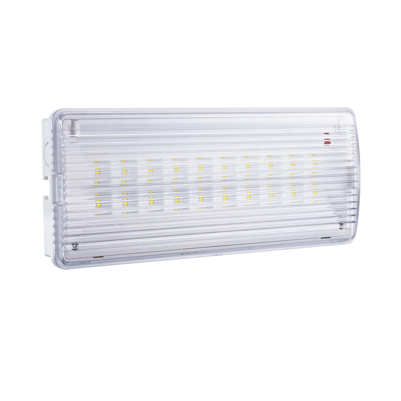 LT-49020 Emergency Light products