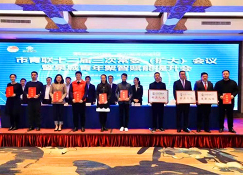 国辰实业集团被济南市青联授予“青联委员之家”称号
