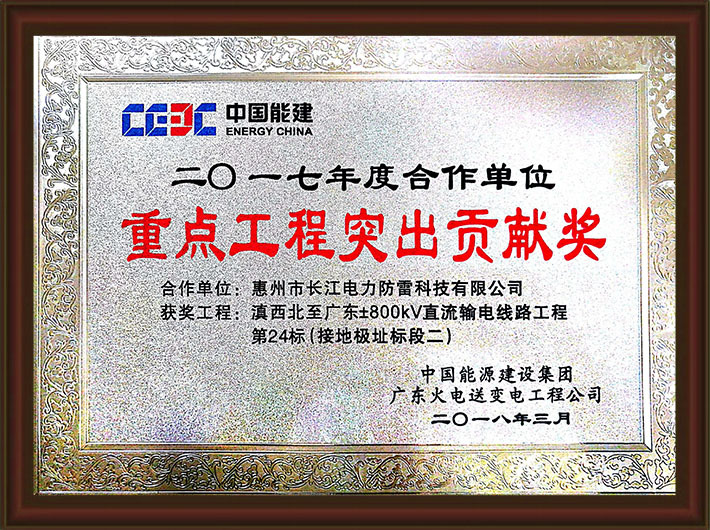 突出貢獻(xiàn)獎(jiǎng)