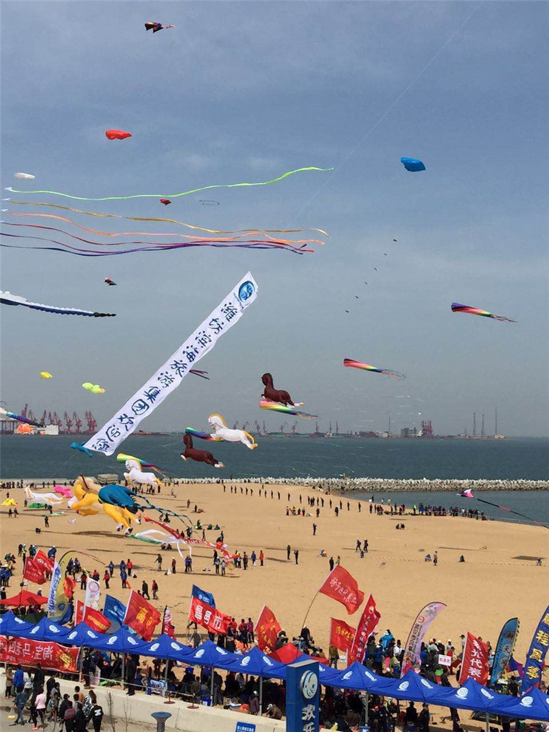 迎着春天,万乘风筝起——第12届世界风筝锦标赛在滨海欢乐海激情上演 迎着春天,万乘风筝起——第12届世界风筝锦标赛在滨海欢乐海激情上演