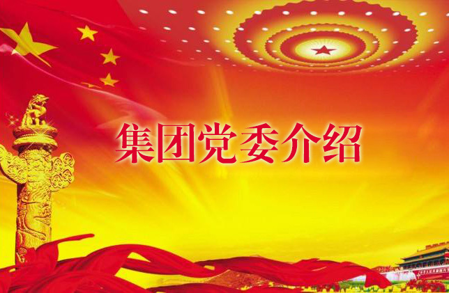 集团党委介绍 集团党委介绍