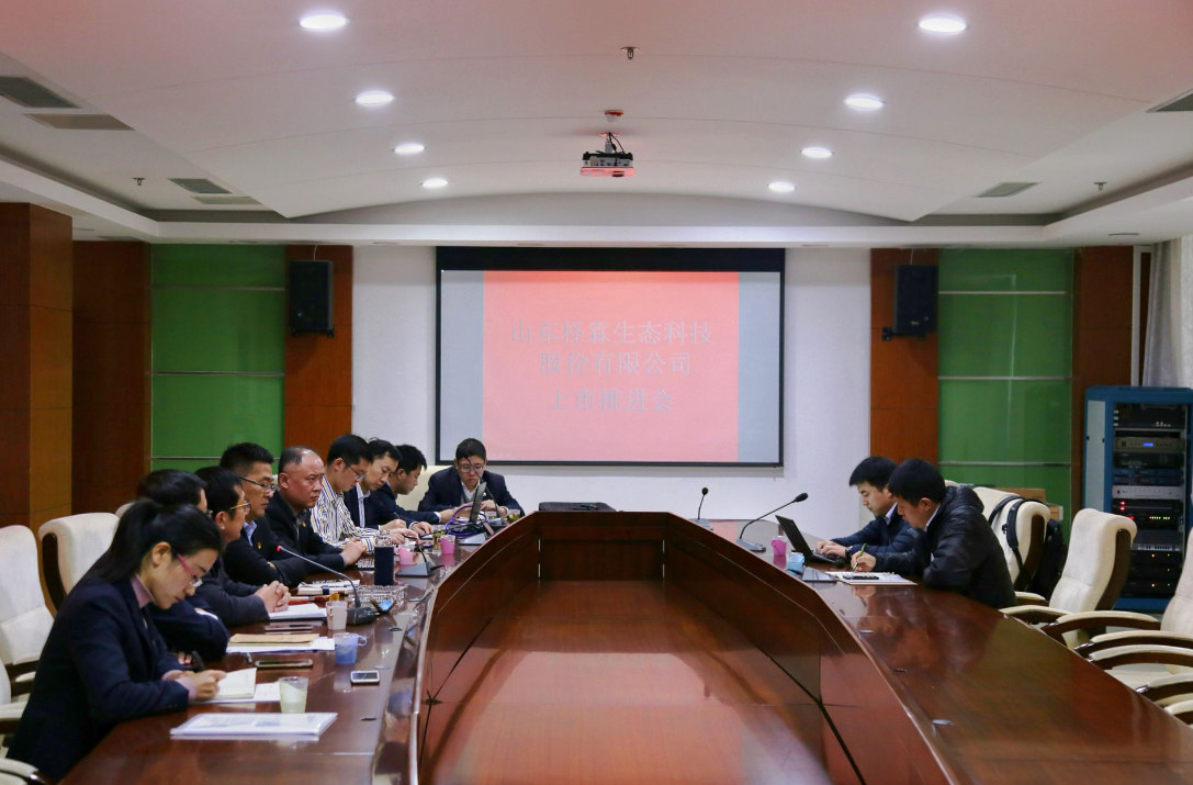 柽霖公司召开上市推进会专题会议 柽霖公司召开上市推进会专题会议