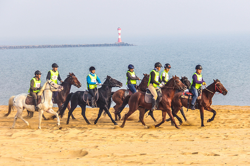 大众的马术 欢乐的海洋——首届潍坊滨海国际马术文化节隆重举行
