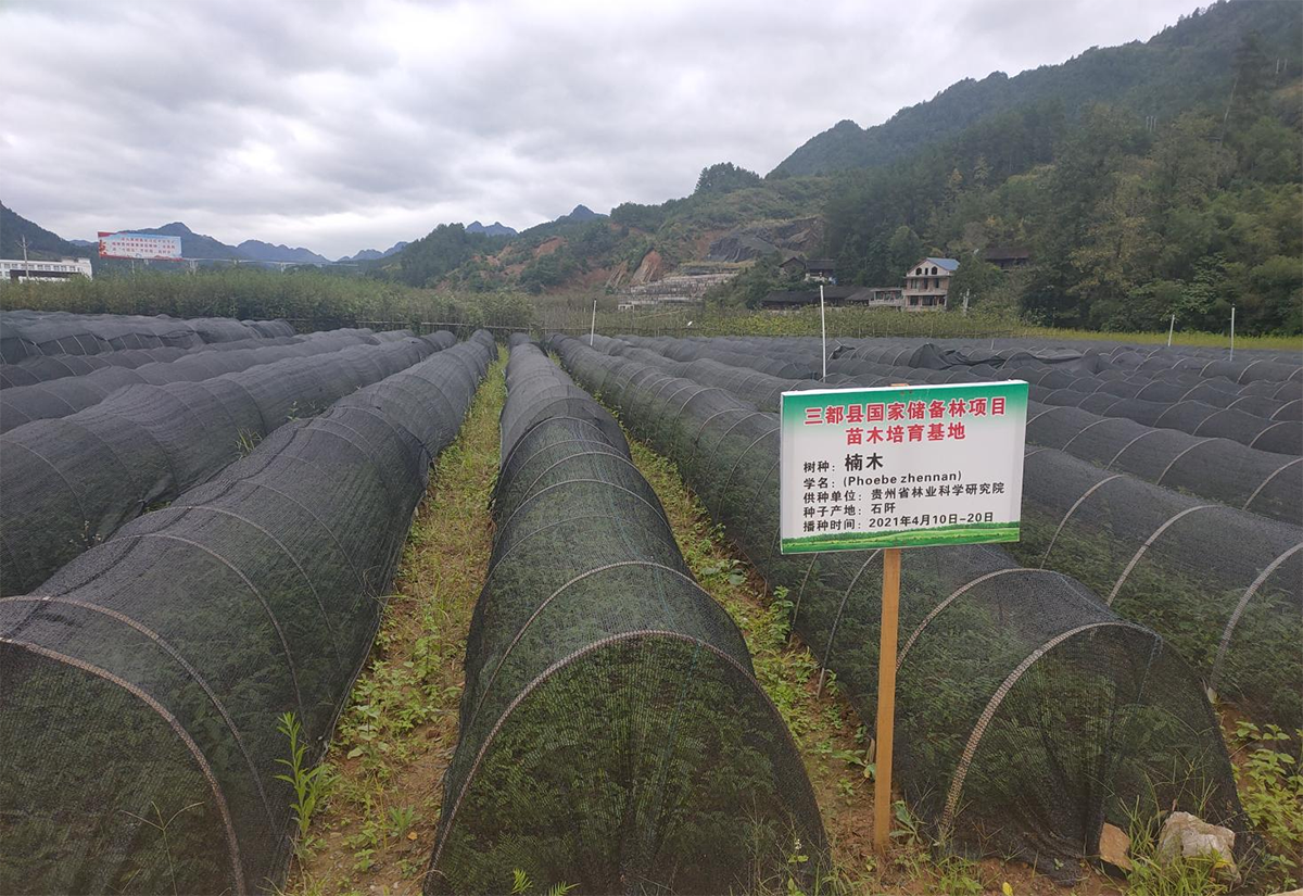 中和雪花湖花卉苗圃基地建設(shè)項目