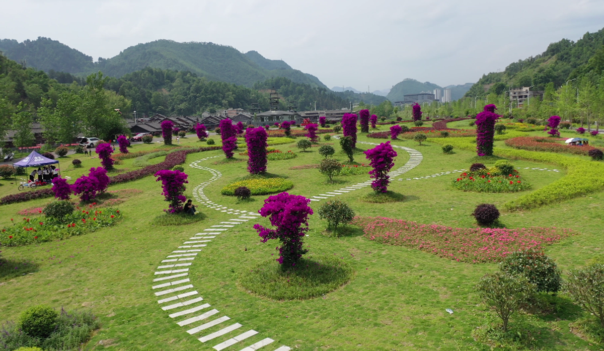 鳳羽街道萬戶水寨片區(qū)圣山大道沿線2、3地塊綠化工程項(xiàng)目