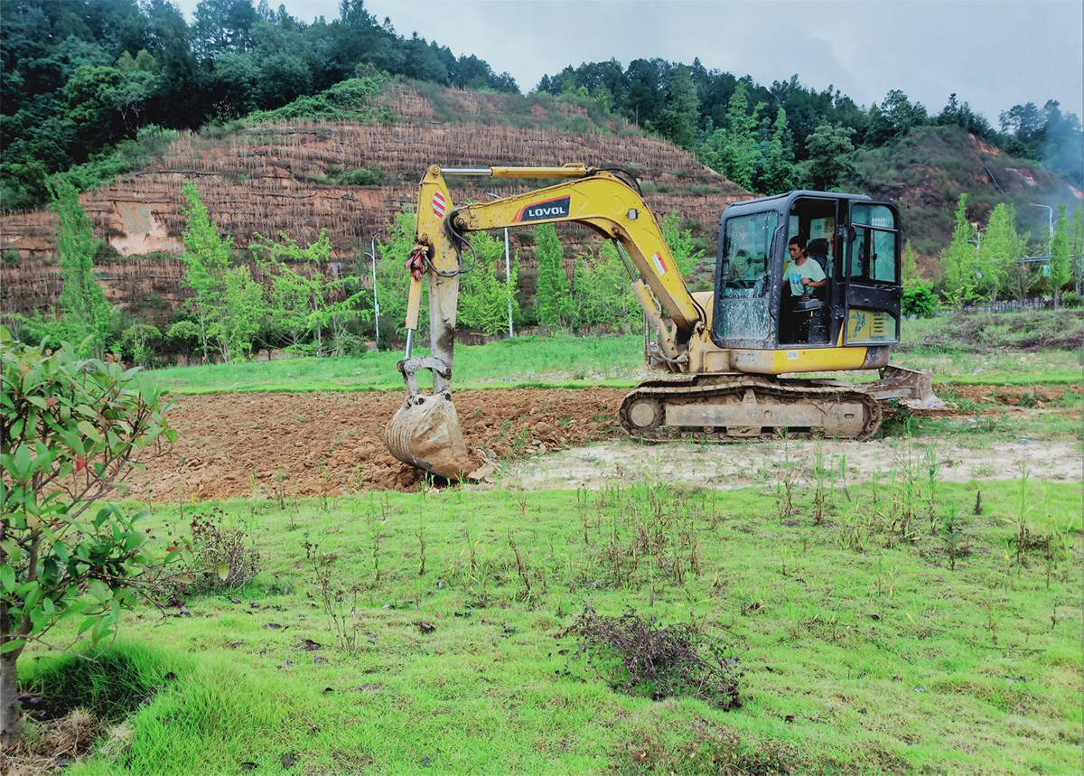 鳳羽街道萬戶水寨片區(qū)圣山大道沿線2、3地塊綠化工程項(xiàng)目