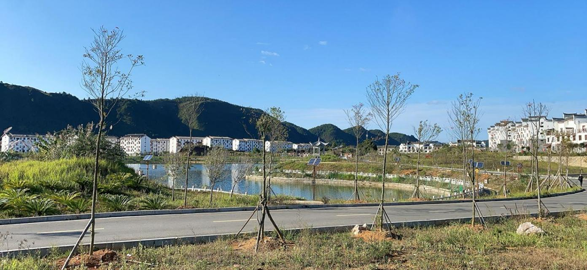 中和雪花湖花卉苗圃基地建設(shè)項(xiàng)目