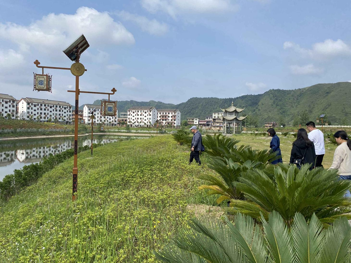 中和雪花湖花卉苗圃基地建設(shè)項(xiàng)目