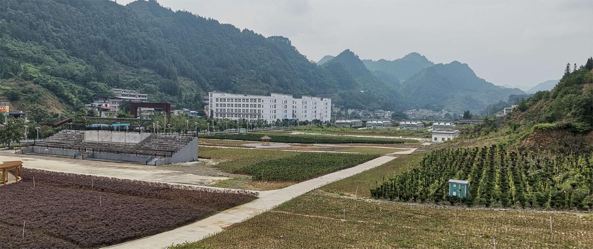 中和雪花湖花卉苗圃基地建設(shè)項目