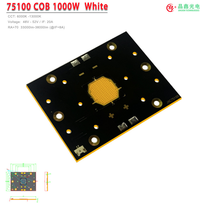 COB LED -1000W-正白 WHITE