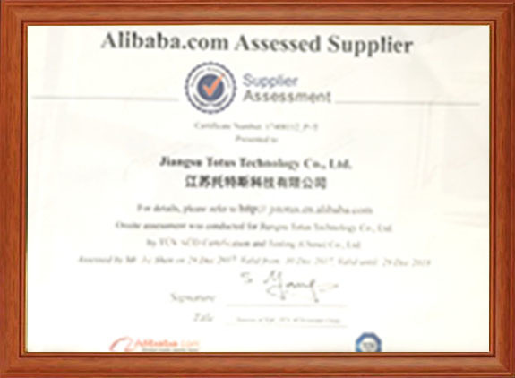 TÜV Supplier Assessment Certificate