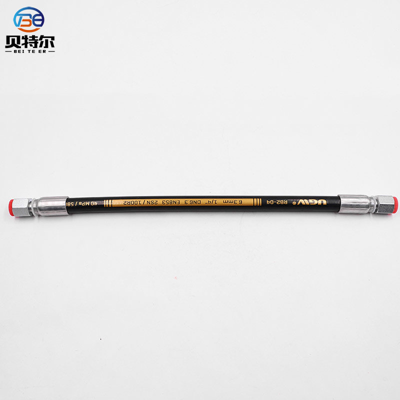 Hose Assemble DN6.3  2SN