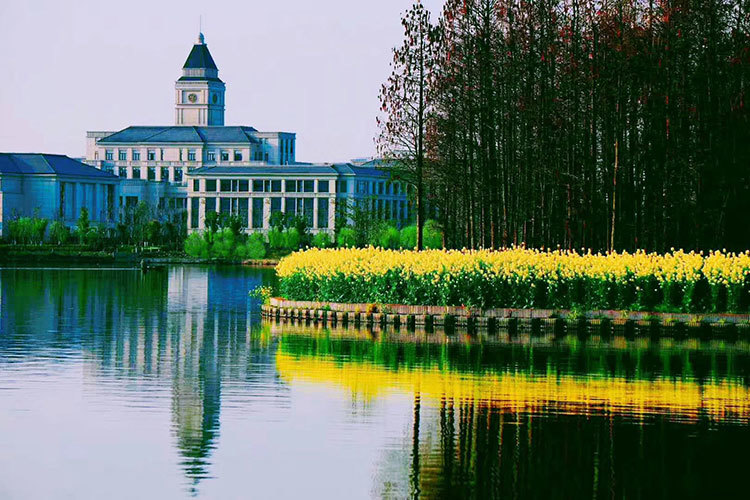 学校东侧景观