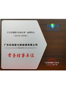 Executive Director Unit of Jiangsu Energy Storage Industry Association