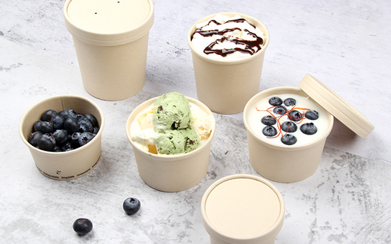 Ice Cream Pak Solutions Ice Cream Pak Solutions