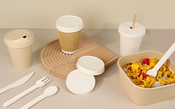 Paper Cup Solutions Paper Cup Solutions