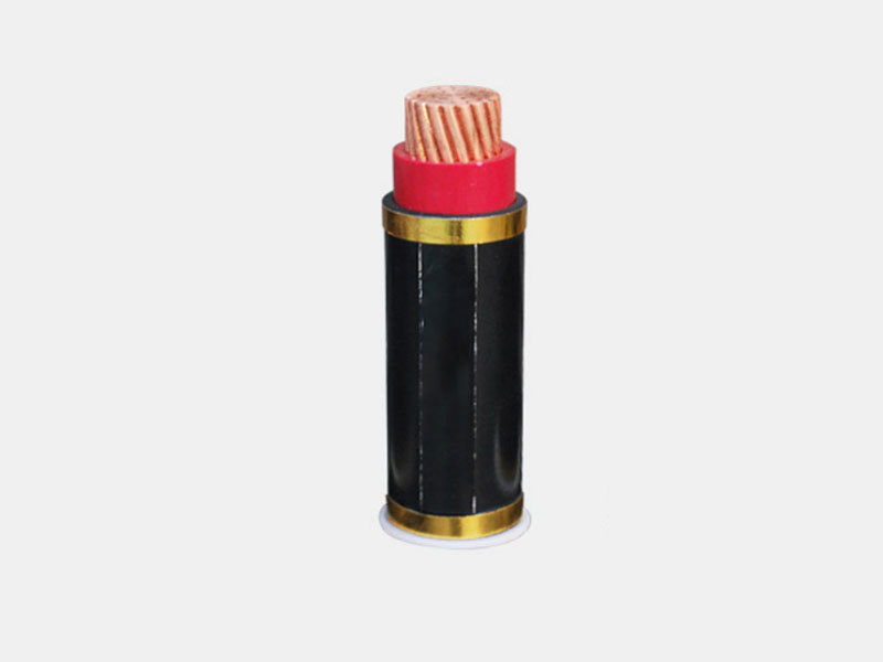Rated voltage 0.6/1kV copper core XLPE insulated PVC sheathed power cable
