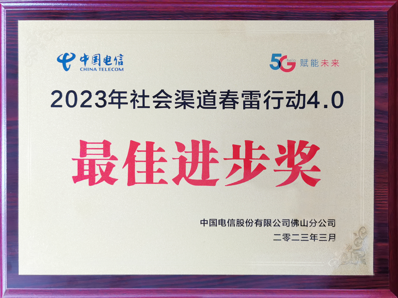 2022年-中国电信（佛山分公司）最佳进步奖.png