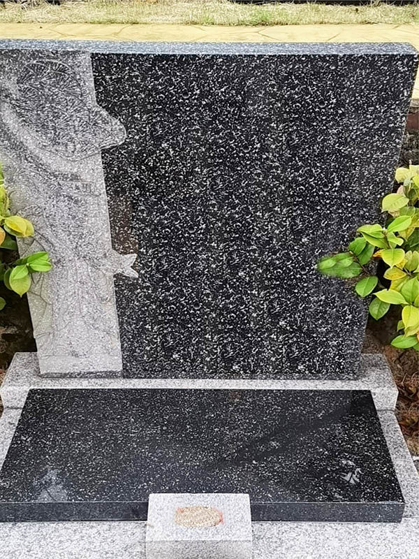 万寿康宁