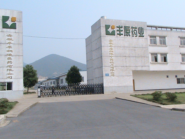 安徽豐原銅陵醫(yī)藥有限公司