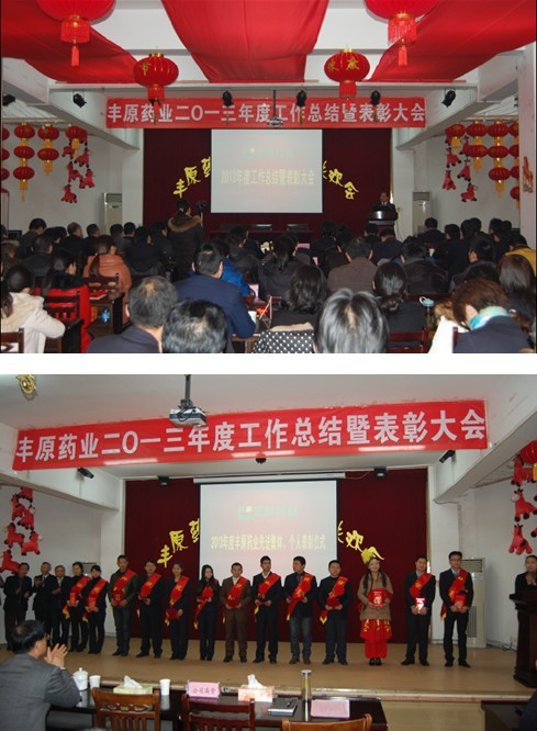 热烈祝贺丰原药业2013年度工作总结暨表彰大会圆满召开