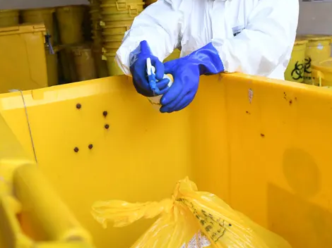 What is the importance of medical waste management?