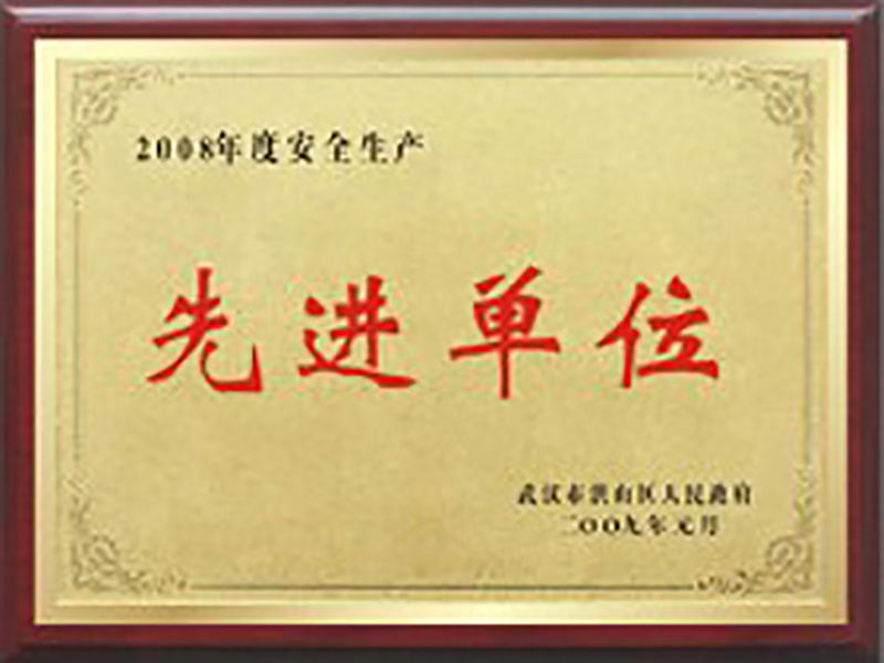 2008年度安全生產(chǎn)先進(jìn)單位