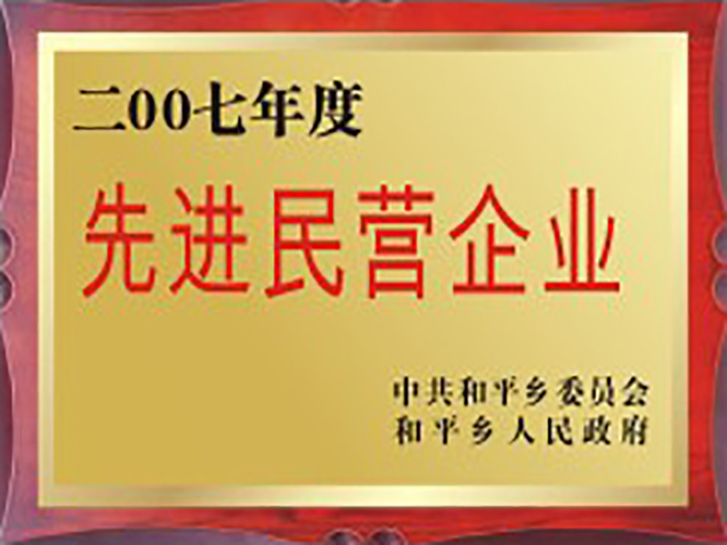 2007年度先進(jìn)民營(yíng)企業(yè)