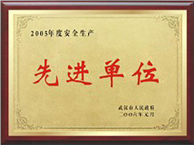 2005年度安全生產(chǎn)先進(jìn)單位