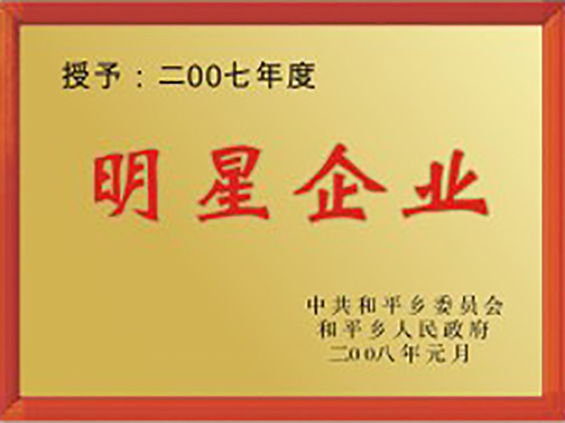 2007年度明星企業(yè)