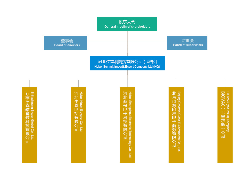 组织架构