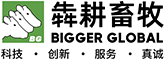 Bigger Global