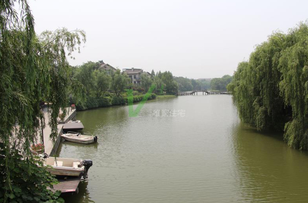 西溪风情 西溪风情