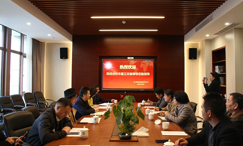3月 民进台州市直三支部领导到公司调研