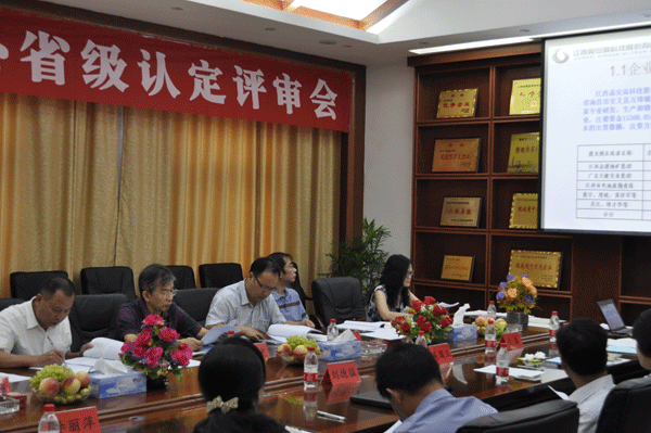 我司技術(shù)中心順利通過(guò)省級(jí)企業(yè)技術(shù)中心評(píng)審