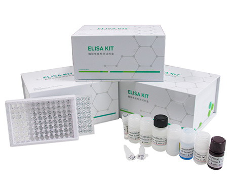 Hamster adenosine triphosphate (ATP) ELISA Kit