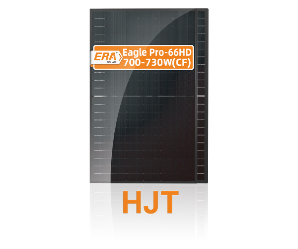 Eagle Pro-66HD 700-730W(CF)