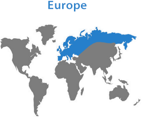 图片名称 图片名称